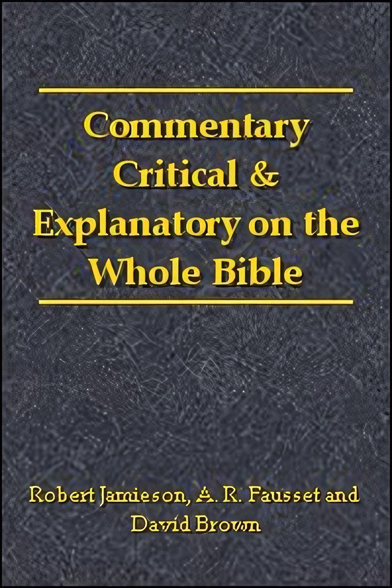 1 Chronicles - Critical Commentary cover