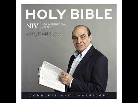 1 Chronicles - NIV cover
