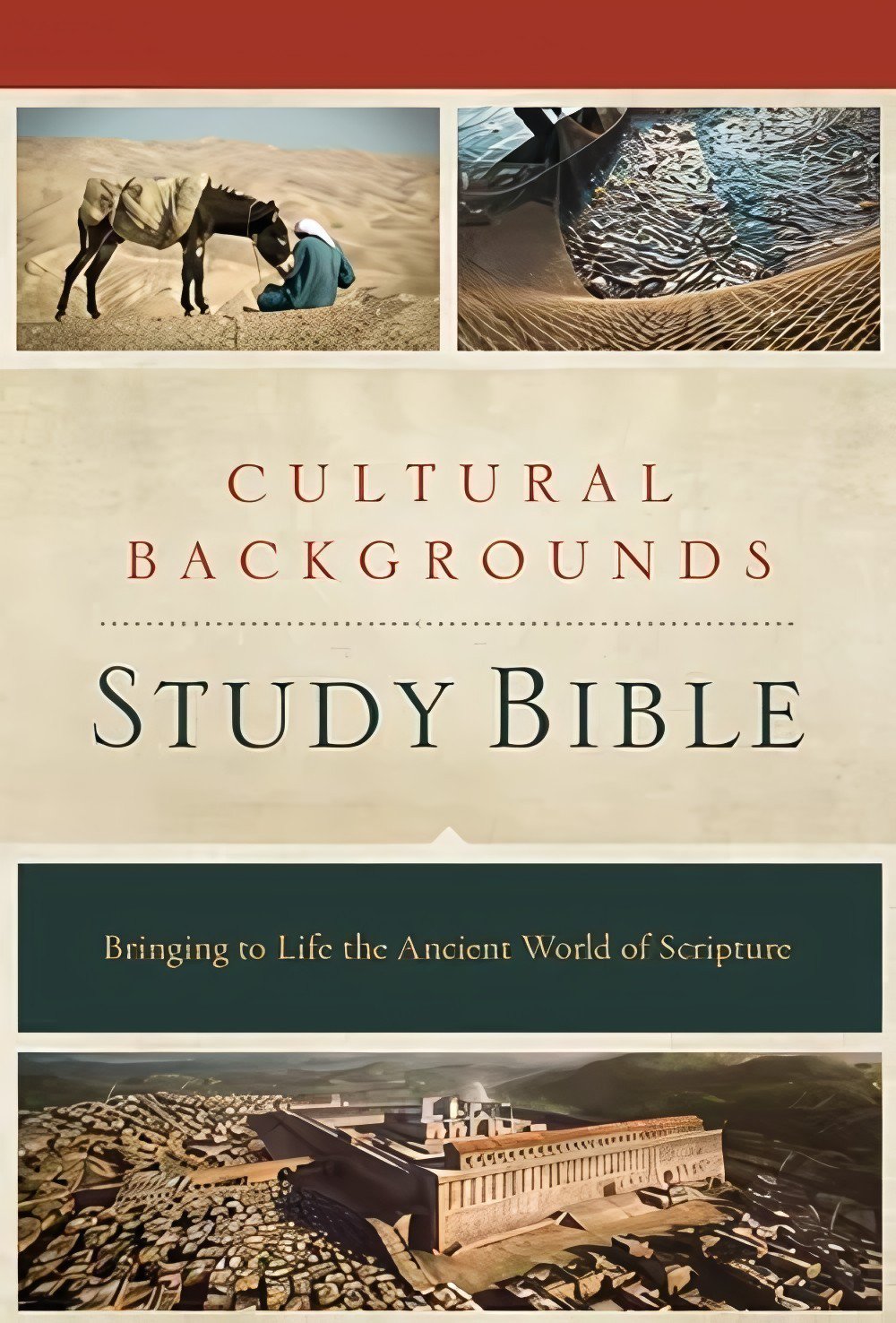 1 Samuel - Cultural Backgrounds cover