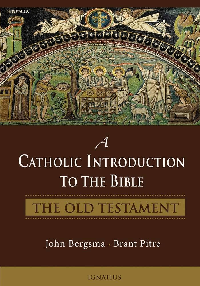 Daniel Catholic Introduction To The Ot cover