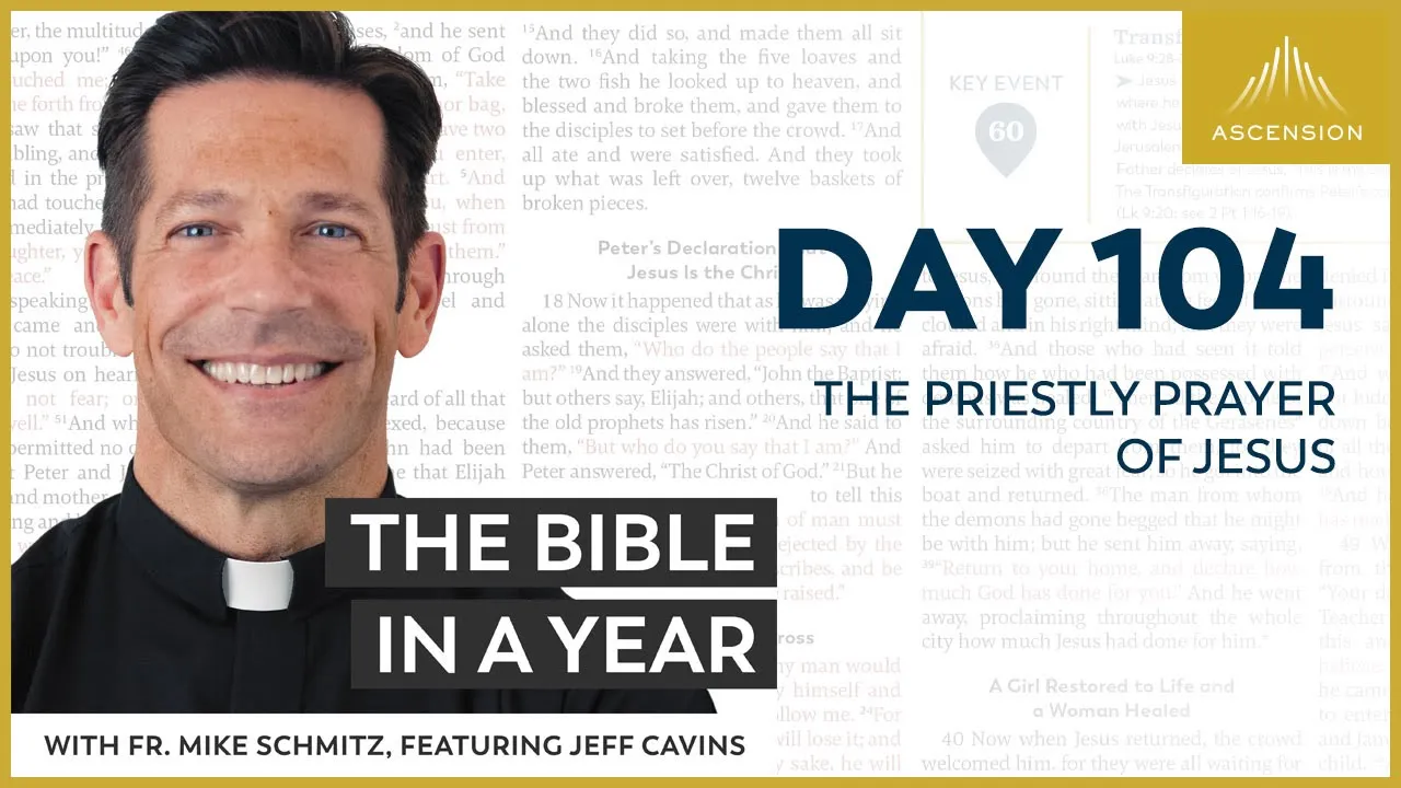 Day 104: The Priestly Prayer of Jesus — The Bible in a Year (with Fr. Mike Schmitz) cover