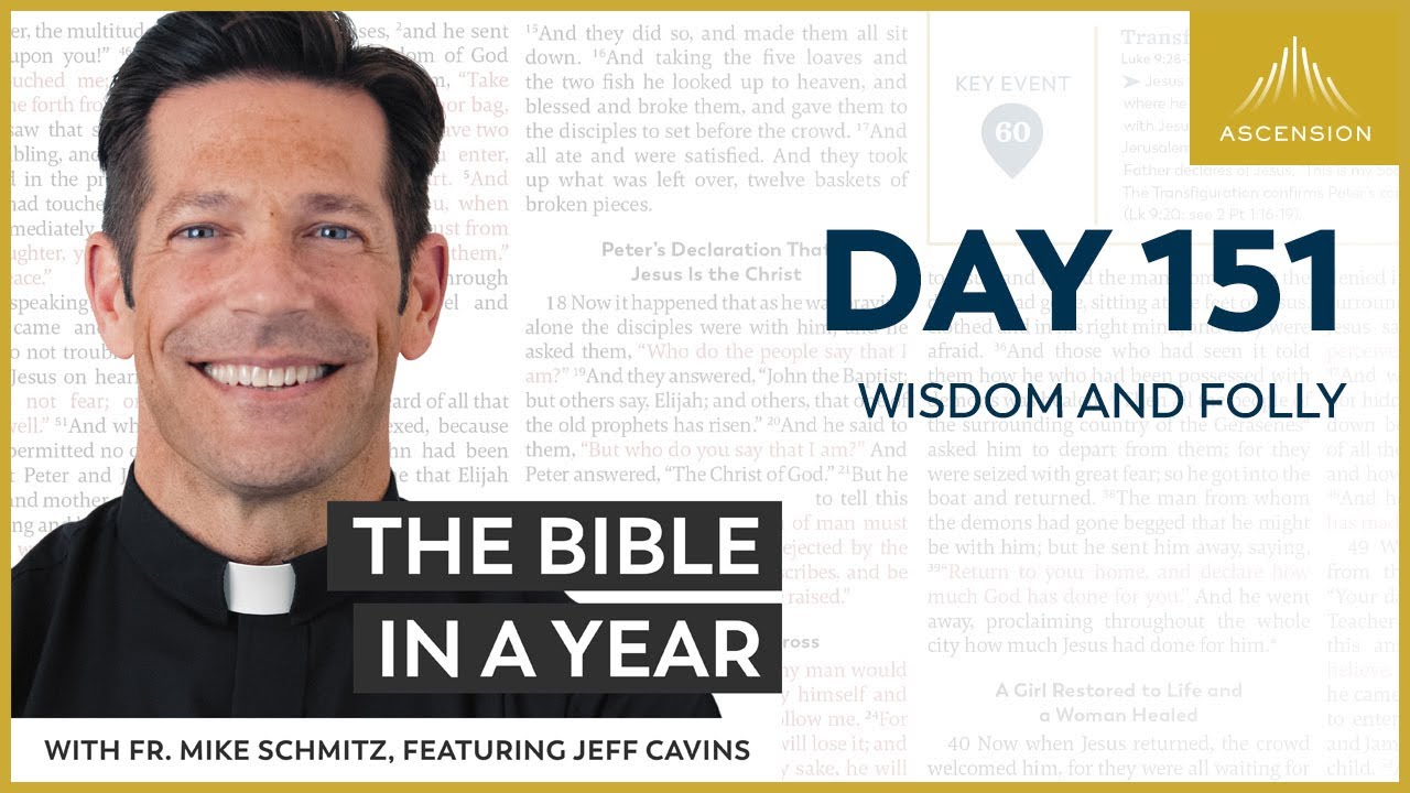 Day 151: Wisdom and Folly — The Bible in a Year (with Fr. Mike Schmitz) cover