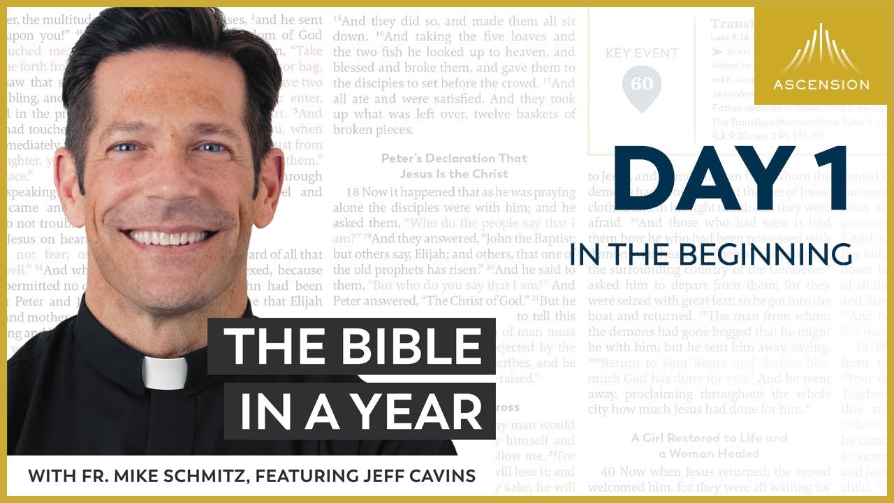 day_1_in_the_beginning_the_bible_in_a_year_with_fr_mike_schmitz_ cover