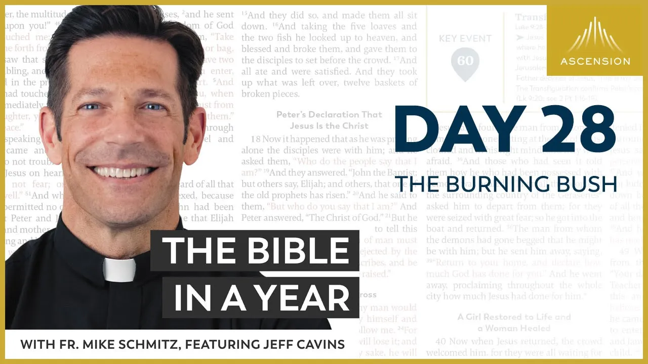 Day 28: The Burning Bush — The Bible in a Year (with Fr. Mike Schmitz) cover
