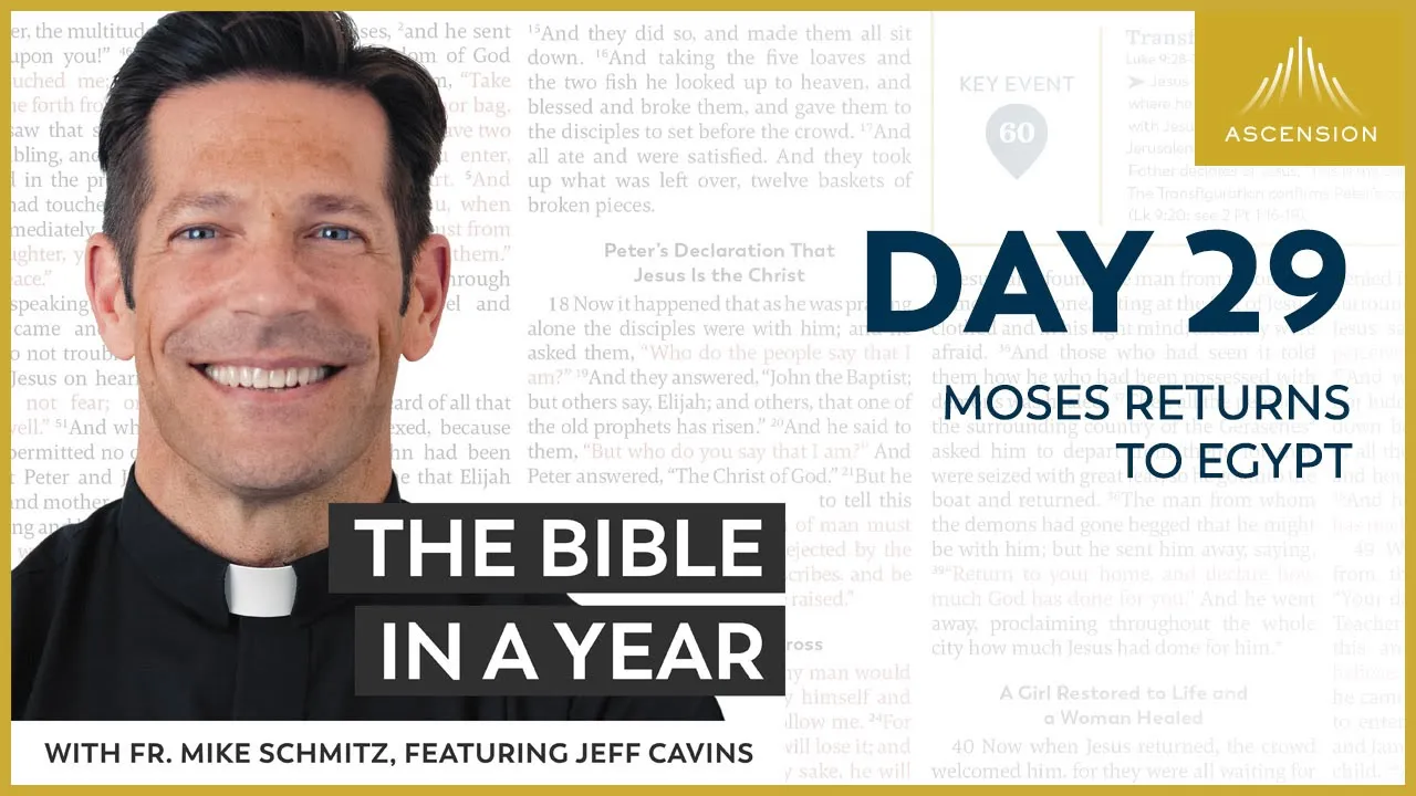 Day 29: Moses Returns to Egypt — The Bible in a Year (with Fr. Mike Schmitz) cover