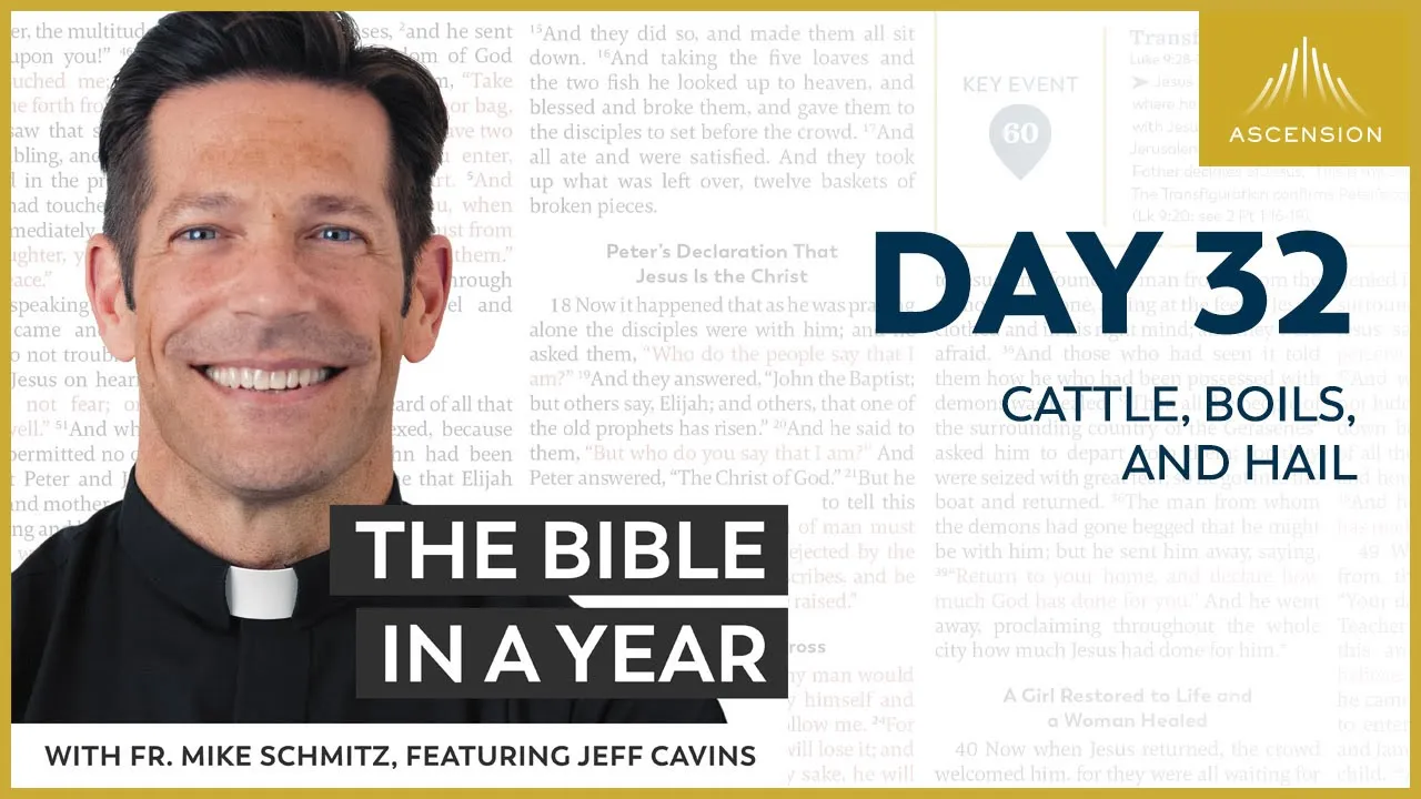 Day 32: Cattle, Boils, and Hail — The Bible in a Year (with Fr. Mike Schmitz) cover