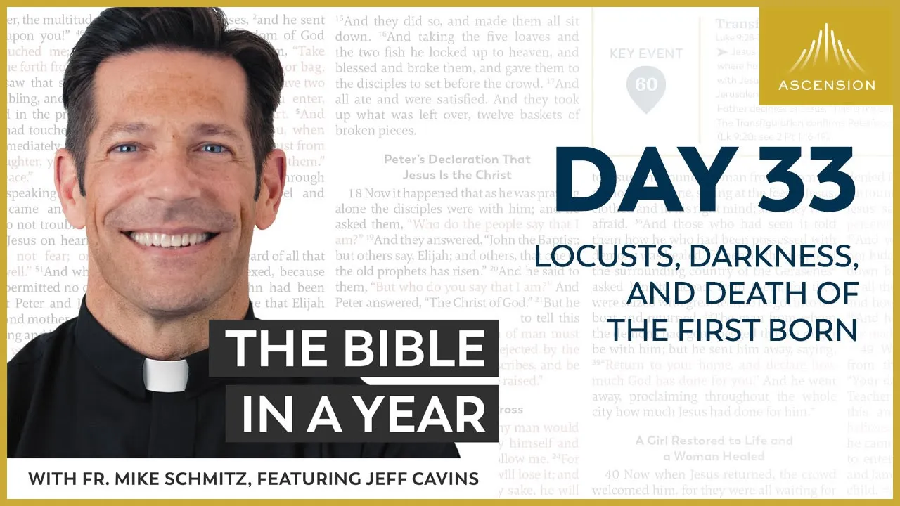 Day 33: Locusts, Darkness, and Death of the First Born — The Bible in a Year (with Fr. Mike Schmitz) cover