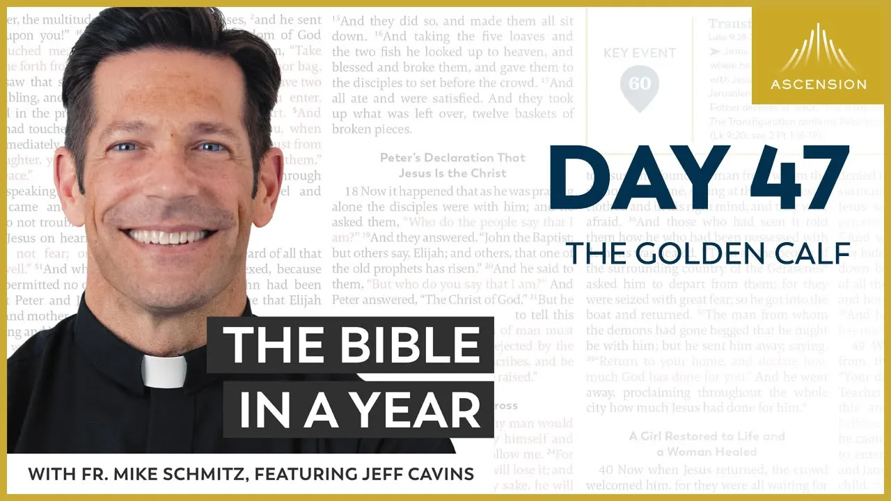 Day 47: The Golden Calf — The Bible in a Year (with Fr. Mike Schmitz) cover