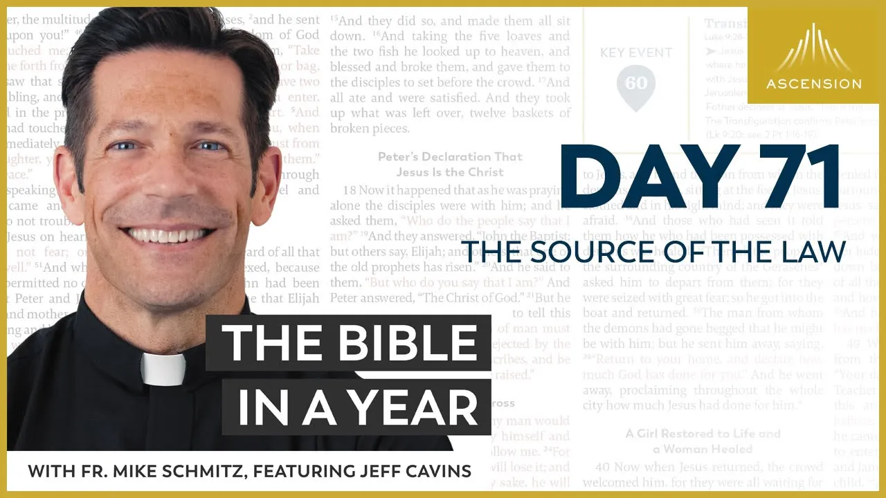 Day 71: The Source of the Law — The Bible in a Year (with Fr. Mike Schmitz) cover